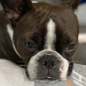 Meet your Posher, Heather